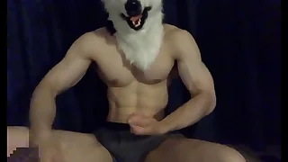 250 bisexual gay porn videos